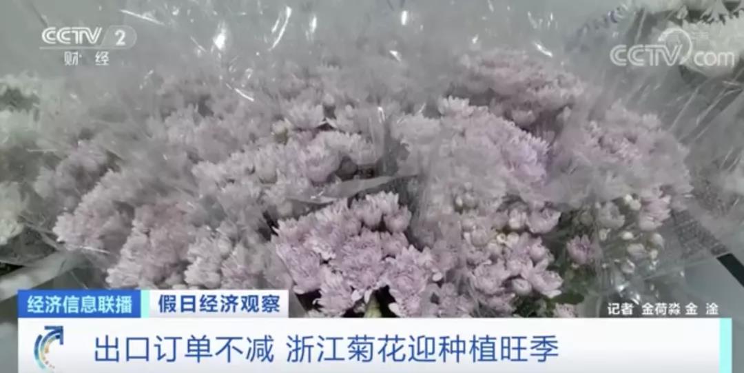 這種植物零售價(jià)翻倍！出口國外走俏！這種進(jìn)口水果價(jià)格卻降了！