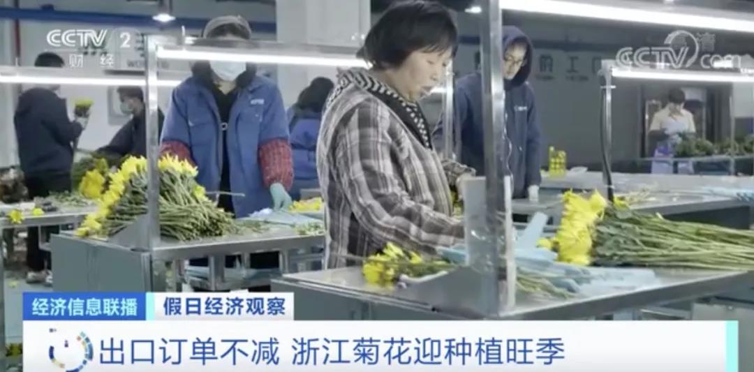 這種植物零售價(jià)翻倍！出口國外走俏！這種進(jìn)口水果價(jià)格卻降了！