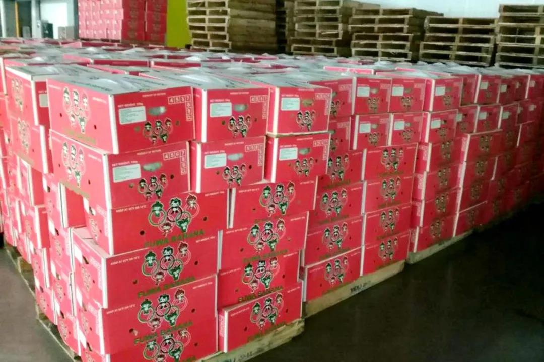 剛剛，多個(gè)集裝箱，5300多萬貨物在洛杉磯港口被查獲！