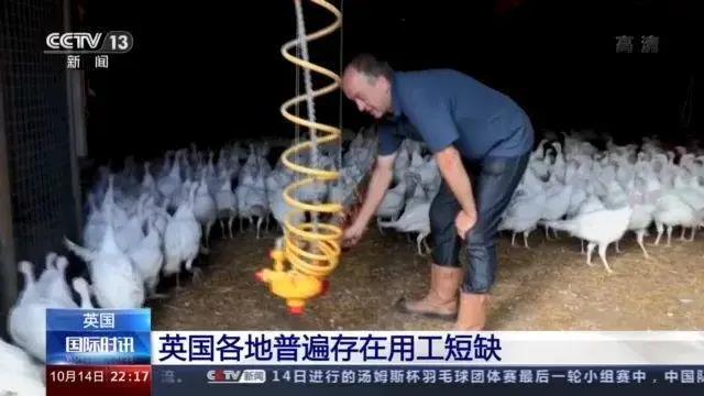 大量貨物堆積港口！這些地方，深陷供應鏈危機！