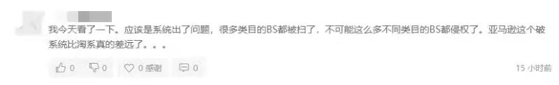 品牌解綁后仍遭連坐，新一輪掃號(hào)要來？亞馬遜秋后算賬！