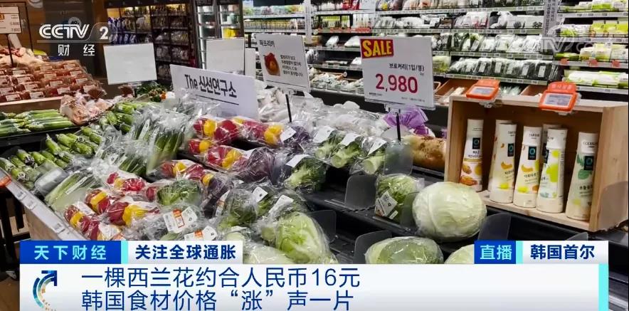 “漲”聲一片！一棵西蘭花賣到16元？