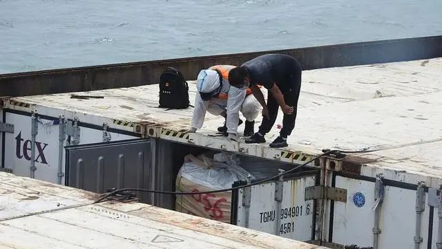 海警72小時(shí)內(nèi)查獲300余噸凍品，案值1700萬