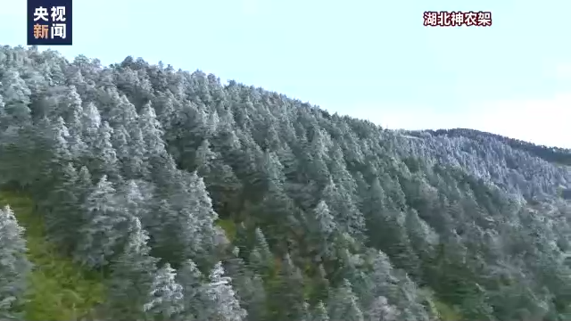 多地迎來(lái)今秋第一場(chǎng)雪！今年冬天會(huì)更冷？