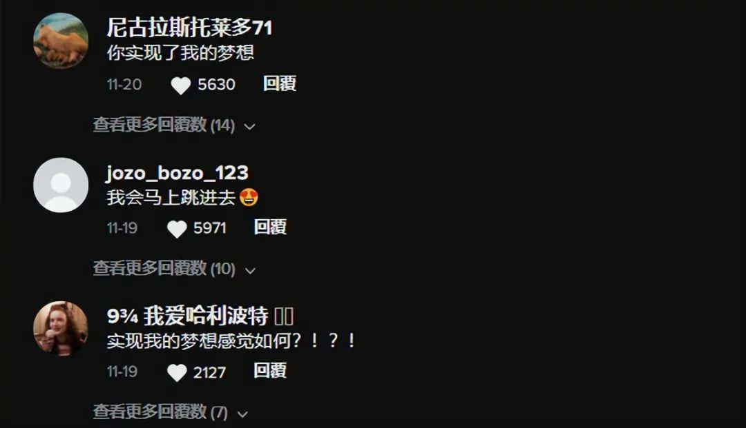 爆紅TikTok ！由一款抱枕掀起的玩具收藏潮