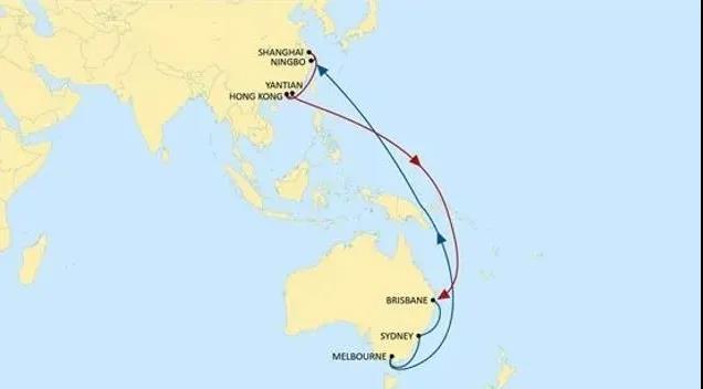 寧波上海香港鹽田直航澳洲，地中海航運(yùn)推出全新大洋洲航線
