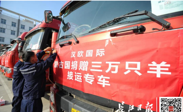 武漢10臺集裝箱冷鏈車出發(fā)，將接運蒙古國捐贈首批1.2萬只羊